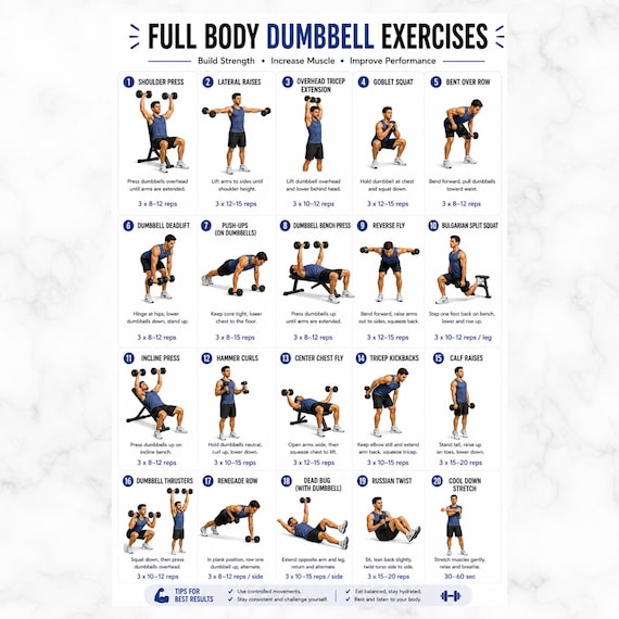 Full Body Dumbbell Workout Chart – Home Dumbbell Exercises, Printable Exercises Poster, Home Fitness Routine, Beginner Dumbbell Exercises