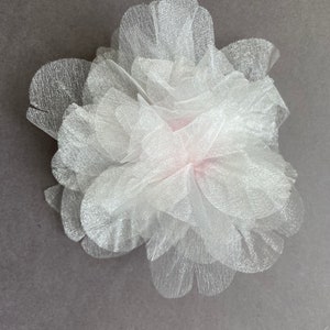 Large Pale Pink Flower