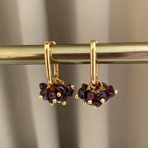 May include: A pair of gold-colored hoop earrings with clusters of small, dark red gemstones. The earrings are hanging on a gold bar, showcasing their design and color.