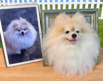 Handmade Wool Felt Pet Portrait | Custom Dog & Cat Memorial Frame