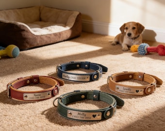 Personalized Leather Dog Collar with Engraved Name Plate – Custom Pet Accessory