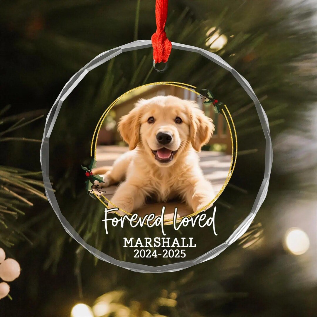 Personalized Pet Memorial Glass Ornament, Custom Dog Loss Gift, Forever ...