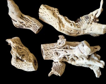 Hand-Cleaned Cholla Cactus Skeleton Root- Natural Desert Decor