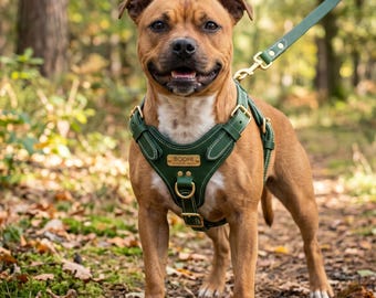 Green Leather Dog Harness, Personalized Pet-Vest with Leash D-Ring, Luxury Full-Grain-Leather Puppy-Gear, Handmade Dog-Adoption-Gift