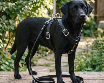 Black Leather Dog Harness with Leash | Heavy-Duty No-Pull Dog-Vest | Adjustable Genuine-Leather Pet Harness Set