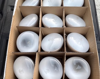 Open doos met 12 Philips 65 watt gematteerde BR 30-binnenlampen