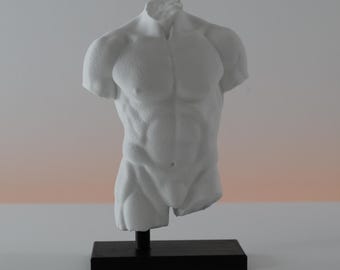 May include: A white matte sculpture of a human torso featuring defined chest and abdominal muscles. The sculpture is headless and armless, mounted on a simple black rectangular base that provides a stable foundation for the display.