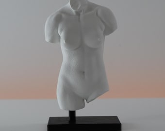 May include: A white plaster torso sculpture, mounted on a black rectangular base. The sculpture depicts the upper body, with detailed musculature and form. The background is a gradient of white and peach.