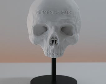 May include: A matte white human skull sculpture featuring the engraved text MEMENTO MORI on the forehead. The skull is mounted on a thin black vertical rod attached to a circular black base, creating a stable display for this anatomical object.