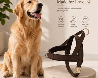 Personalized Dog Harness Custom Engraved Pet Vest Adjustable Mesh Leather No Pull Harness for Small Medium Large Dogs XS-XL