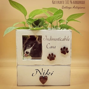 Urna per ceneri cane