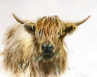 Highland Cow Wall Fine Art Print of Watercolor painting