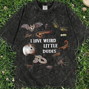 May include: Dark gray t-shirt with a variety of insect and animal illustrations, including a bat, scorpion, and mouse. The text "I LOVE WEIRD LITTLE DUDES" is printed in white. The shirt has a vintage, washed look.