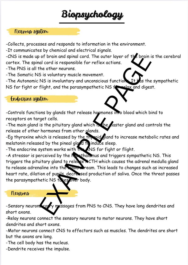 AQA A Level Psychology Biopsychology Notes - Etsy