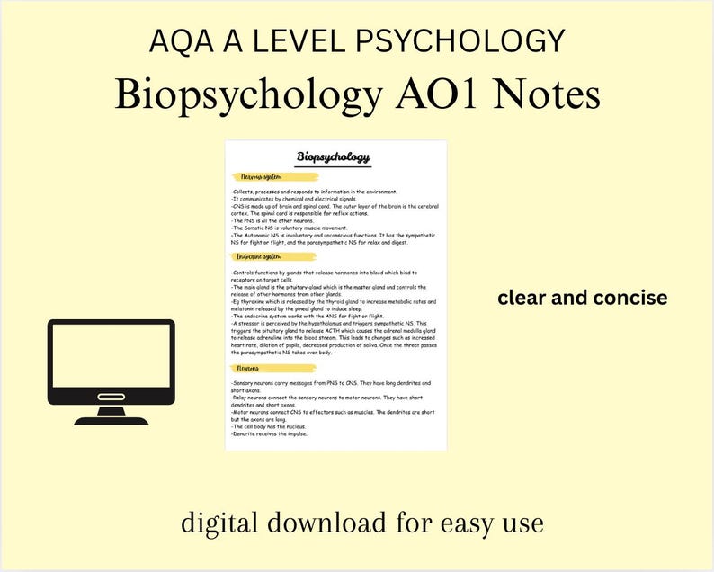 AQA A Level Psychology Biopsychology Notes - Etsy