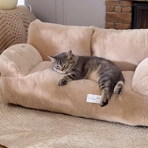 May include: A beige, plush pet sofa with a sleeping gray tabby cat. The sofa is on a round, woven rug. A fireplace with a burning fire is in the background. A cozy scene.