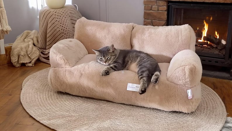 May include: A beige, plush pet sofa with a sleeping gray tabby cat. The sofa is on a round, woven rug. A fireplace with a burning fire is in the background. A cozy scene.