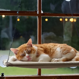 Cat Window Perch Hammock, Wall Mounted Window Bed, Minimalist Wooden Cat Shelf, Space-Saving Pet Furniture Cozy Sun Lounger for Indoor Cats