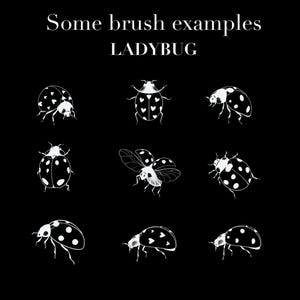 650+ Fine Line Tattoo Brushes for Procreate | Botanical Elements (Digital Download) image 2