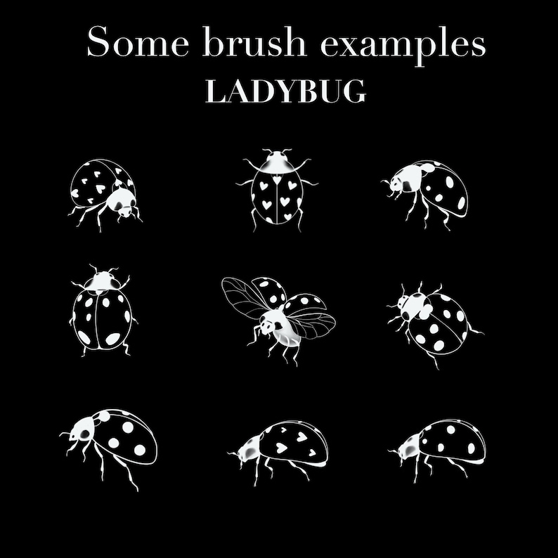 650+ Fine Line Tattoo Brushes for Procreate | Botanical Elements (Digital Download) image 2