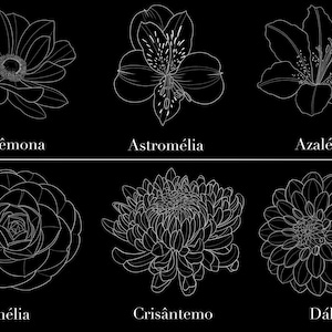 May include: A black and white line drawing of six different flowers: Anemone, Astromelia, Azalea, Camelia, Chrysanthemum, and Dahlia. Each flower is labeled with its name in white text.