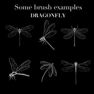 May include: Black background with white line drawings of dragonflies. The text at the top says "Some brush examples" and the word "DRAGONFLY" is in the middle. Six different dragonfly illustrations are shown.
