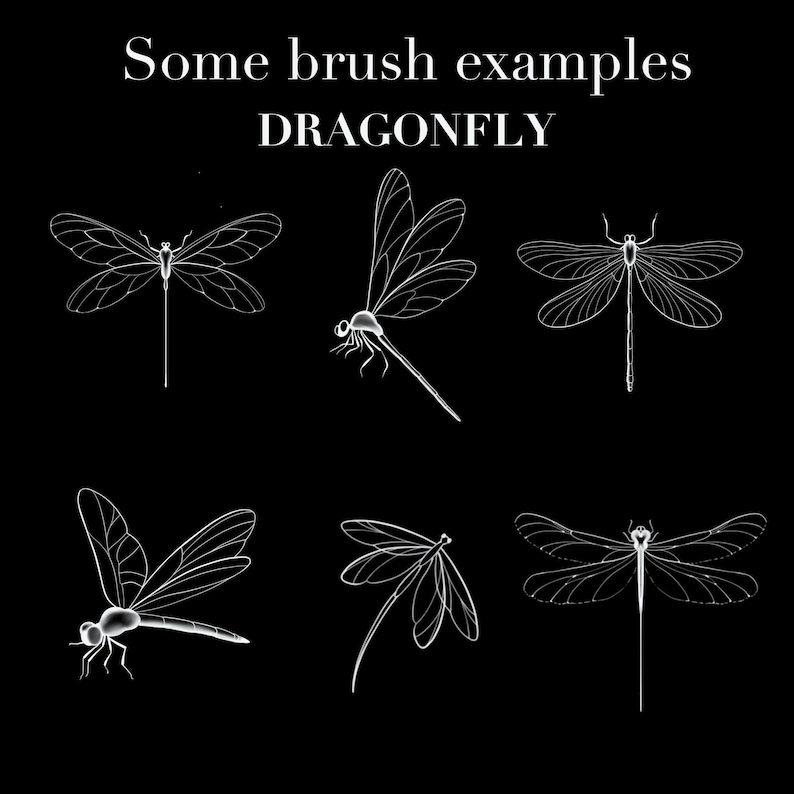 May include: Black background with white line drawings of dragonflies. The text at the top says "Some brush examples" and the word "DRAGONFLY" is in the middle. Six different dragonfly illustrations are shown.