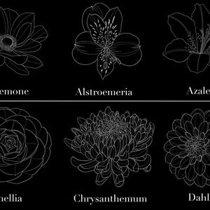 May include: A black and white line drawing of six different flowers: Anemone, Alstroemeria, Azalea, Camellia, Chrysanthemum, and Dahlia. Each flower is labeled with its name in a clean, sans-serif font.