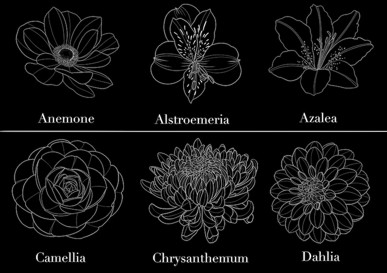 May include: A black and white line drawing of six different flowers: Anemone, Alstroemeria, Azalea, Camellia, Chrysanthemum, and Dahlia. Each flower is labeled with its name in a clean, sans-serif font.