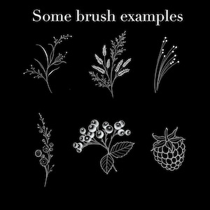 May include: Black background with white botanical brush stroke examples. The image includes six different illustrations of leaves, berries, and floral designs. Text at the top reads "Some brush examples".
