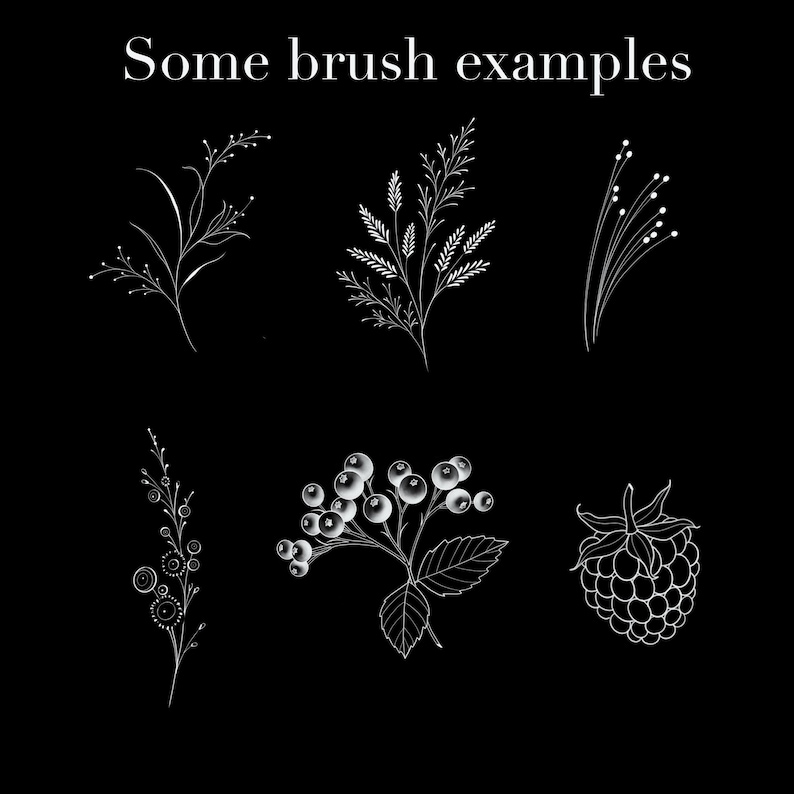 May include: Black background with white botanical brush stroke examples. The image includes six different illustrations of leaves, berries, and floral designs. Text at the top reads "Some brush examples".