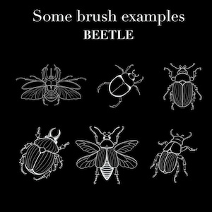 650+ Fine Line Tattoo Brushes for Procreate | Botanical Elements (Digital Download) image 5