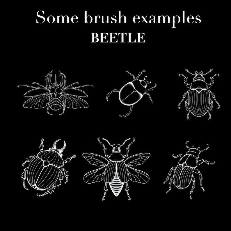 650+ Fine Line Tattoo Brushes for Procreate | Botanical Elements (Digital Download) image 5