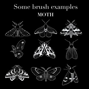 650+ Fine Line Tattoo Brushes for Procreate | Botanical Elements (Digital Download) image 7