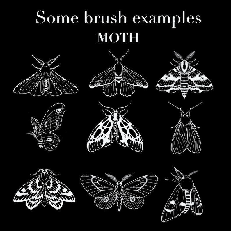 650+ Fine Line Tattoo Brushes for Procreate | Botanical Elements (Digital Download) image 7
