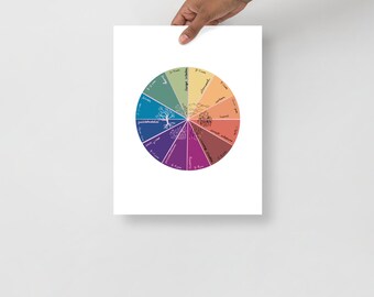 Chinese Body Clock Poster