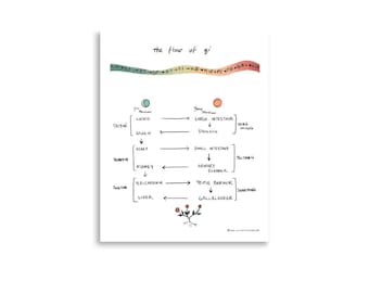 Flow of Qi – Illustrated Meridian Poster