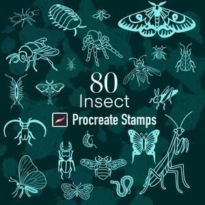 May include: A teal-colored digital art graphic featuring 20 different insect illustrations, including a moth, butterfly, spider, and bee. The text reads "80 Insect Procreate Stamps."