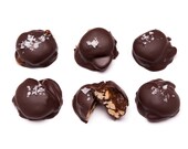 Organic Fair Trade Sea Turtles Box of 15 Pecans Caramel Dark Chocolate Sea Salt