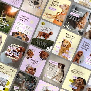 May include: A collection of social media posts with dog-related content. The posts feature various dog breeds and include text such as "5 signs your dog loves you," "facts about my dog," and "Meet my fluffball." The color scheme is pastel with a mix of photos and illustrations.