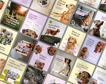 Hund Instagram | Instagram Stories & Insta Vorlagen | Hundepflege | Hundesalon | Fellpflege Geschäft | Hunde-Business