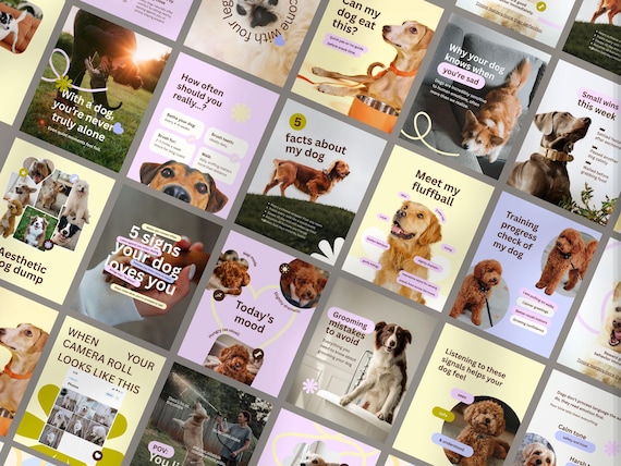 Dog Instagram | Instagram Stories & Insta Templates | Dog Grooming | Dog Salon | Grooming Business | Dog Business