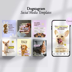 Instagram dla psów | Historie na Instagramie i szablony na Instagramie | Pielęgnacja psów | Salon dla psów | Firma pielęgnacyjna | Biznes dla psów zdjęcie 2