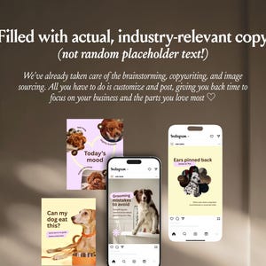 Instagram dla psów | Historie na Instagramie i szablony na Instagramie | Pielęgnacja psów | Salon dla psów | Firma pielęgnacyjna | Biznes dla psów zdjęcie 5