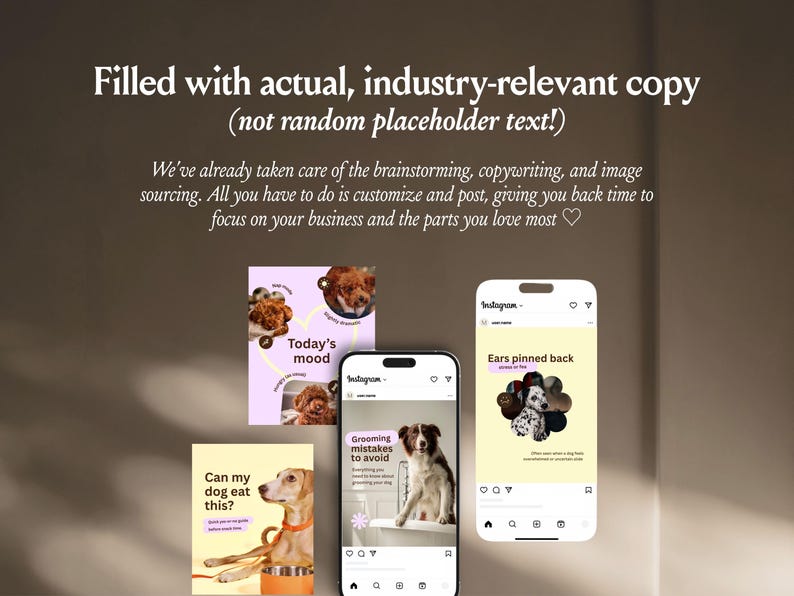 Instagram dla psów | Historie na Instagramie i szablony na Instagramie | Pielęgnacja psów | Salon dla psów | Firma pielęgnacyjna | Biznes dla psów zdjęcie 5