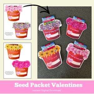 Plantable Seed Packet Valentine | Kids Classroom Favor (PDF Pattern)