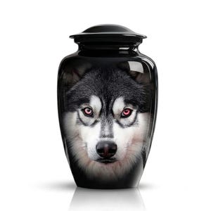 Pode incluir: Uma urna funerária preta brilhante com uma impressão fotográfica de alta definição do rosto de um cão husky na frente. O recipiente tem um corpo arredondado, uma base afunilada e uma tampa removível com um acabamento liso e reflexivo.