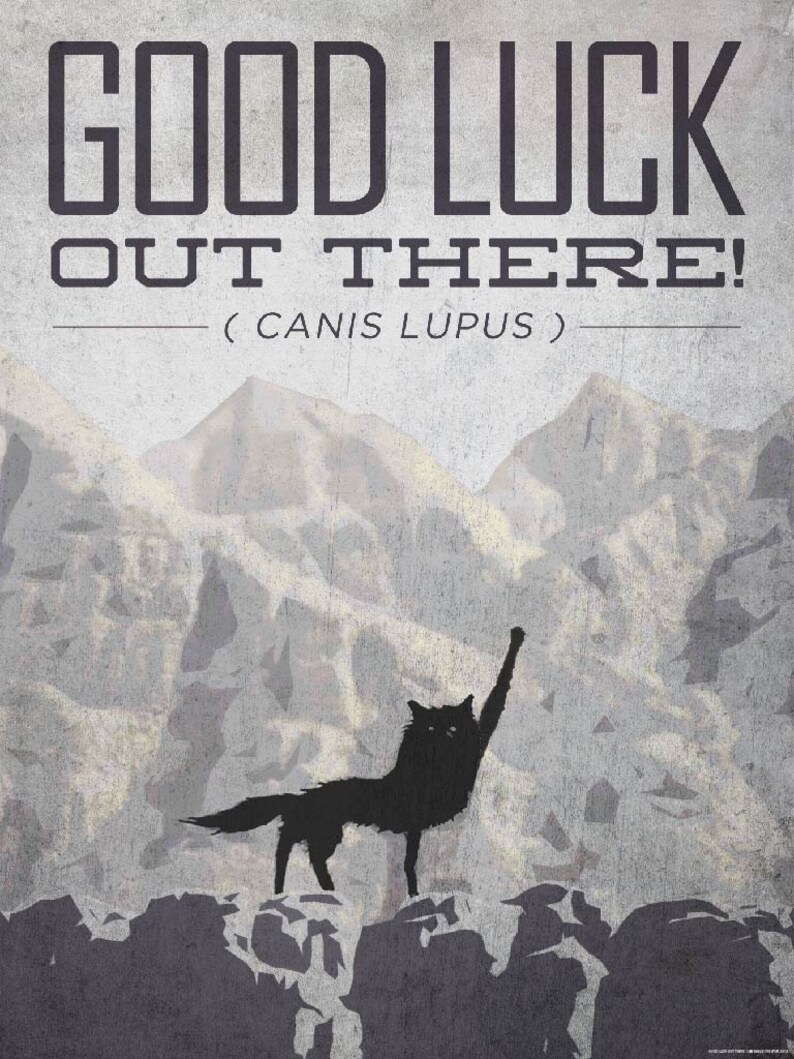 Fantastic Mr. Fox Poster or Framed Print Good Luck Out There Etsy