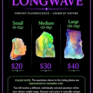 May include: A chart titled 365nm LONGWAVE VIBRANT FLUORESCENCE showing three raw mineral specimens. Small (8-12g), Medium (13-19g), and Large (20-25g) pieces display orange, green, and blue fluorescent colors. Text notes specimens are representative examples.