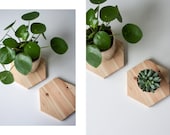 Coaster / Trivet /  WOOD / HEXAGON